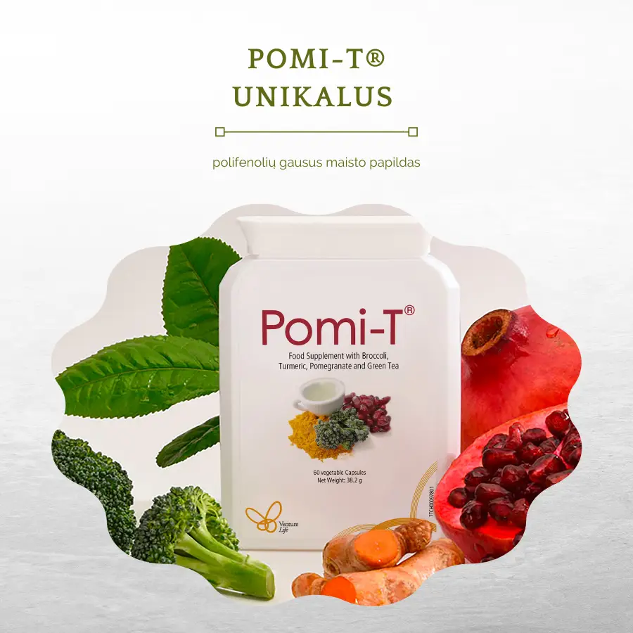 POMI-T